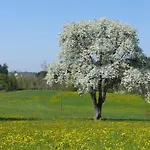 公寓 Obstwiese By Interhome Hergensweiler