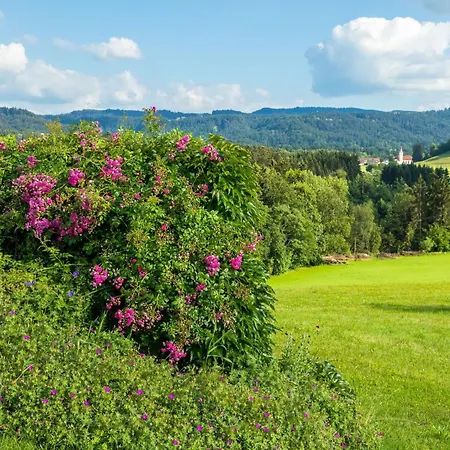 Apartmán Obstwiese By Interhome Hergensweiler