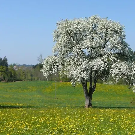 Apartmán Obstwiese By Interhome Hergensweiler