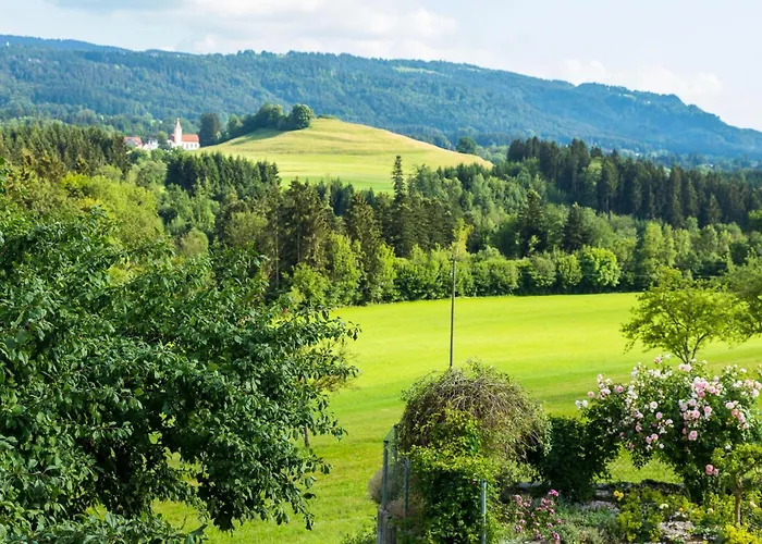 Obstwiese By Interhome * Hergensweiler