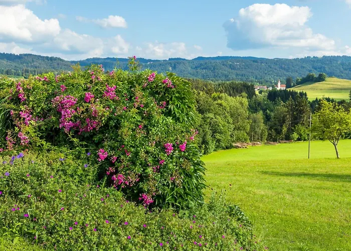 Апартаменты Obstwiese By Interhome Hergensweiler